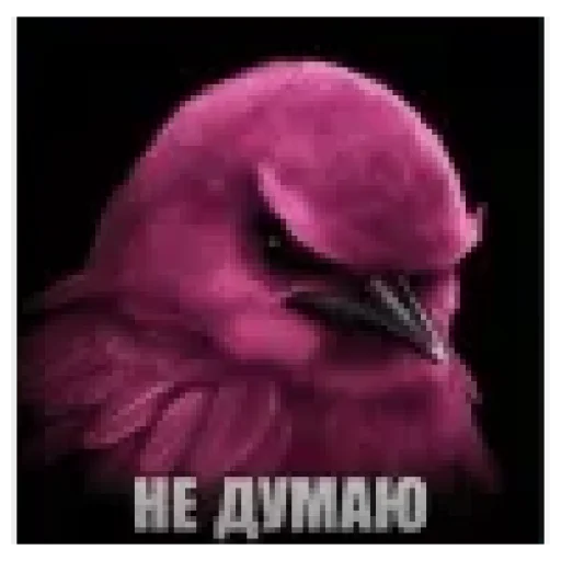 Эмодзи Birds Memes