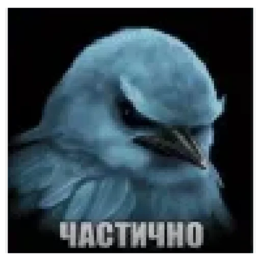 Эмодзи Birds Memes