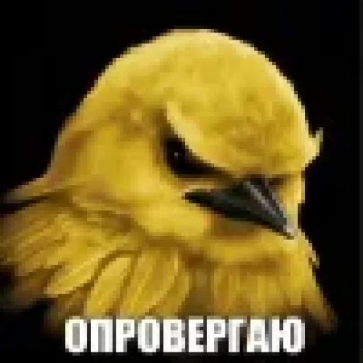 Эмодзи Birds Memes