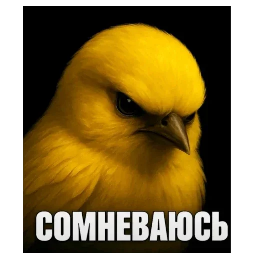 Эмодзи Birds Memes