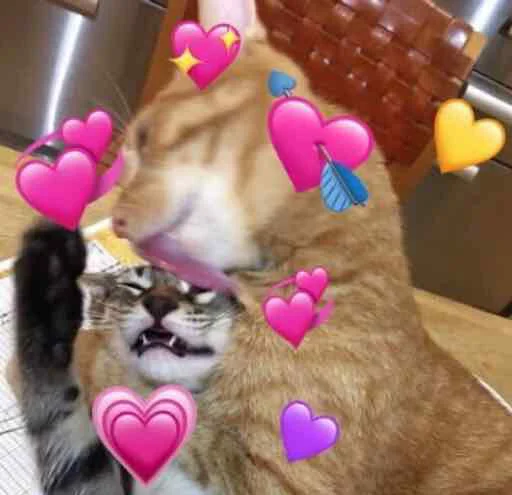 Эмодзи сучьи стикеры