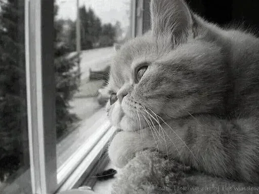 😍