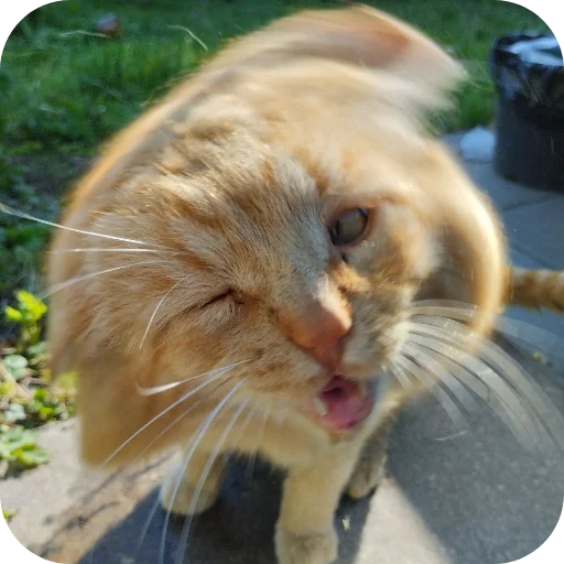 Эмодзи БЛОПТОП 3D 2.0