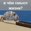 Эмодзи БЛОПТОП 3D 3.0