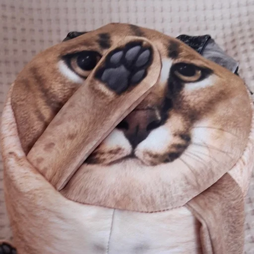 Эмодзи БЛОПТОП