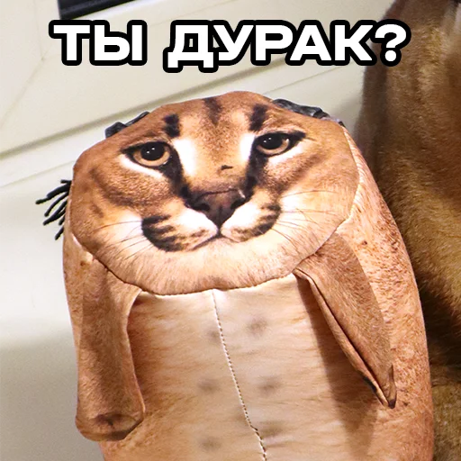 Эмодзи БЛОПТОП