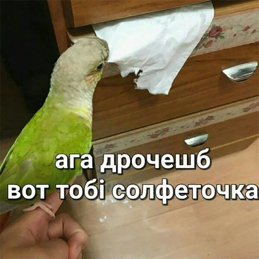 Эмодзи Я орал, меня ловили