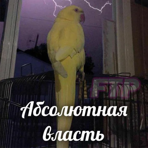 Эмодзи Я орал, меня ловили