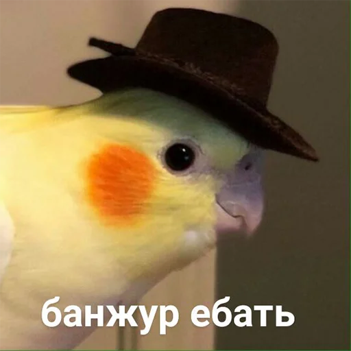 Эмодзи Я орал, меня ловили