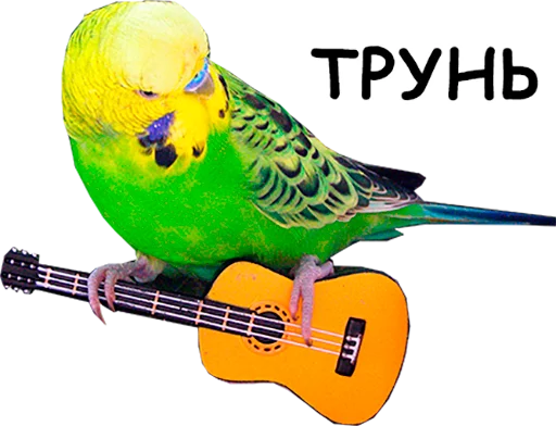 Эмодзи блядские папуги