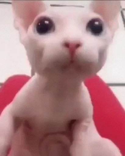 😳