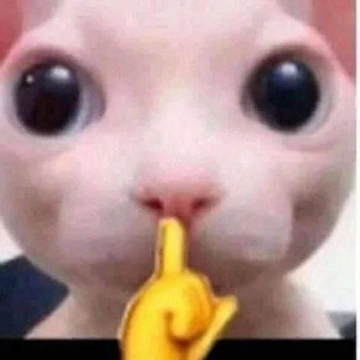 Эмодзи бингус и другие