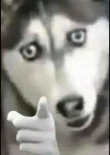 Эмодзи бингус и другие