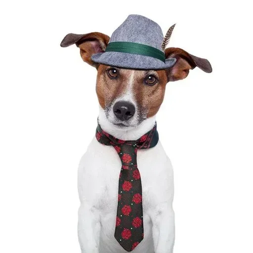 Эмодзи Dogs