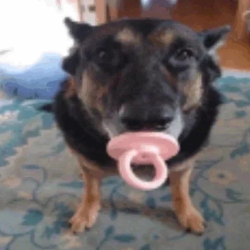Эмодзи Dogs