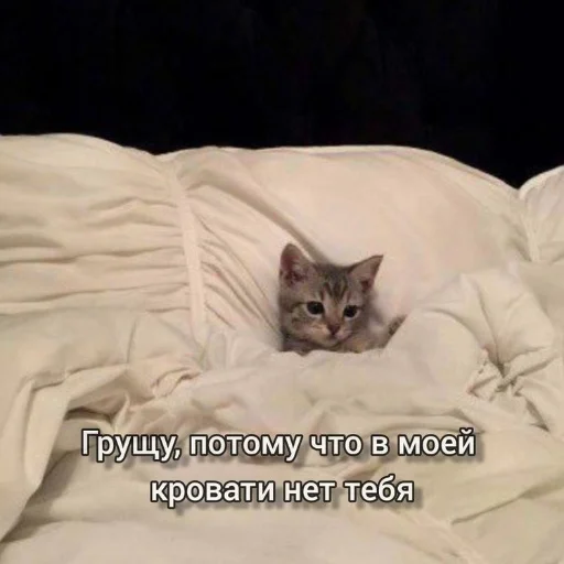 Эмодзи бред