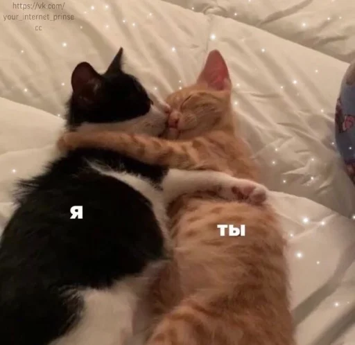 Эмодзи бред