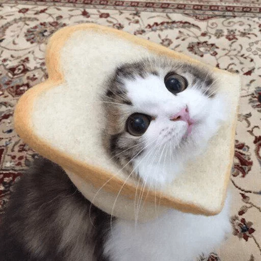 Эмодзи Broken Cats 2