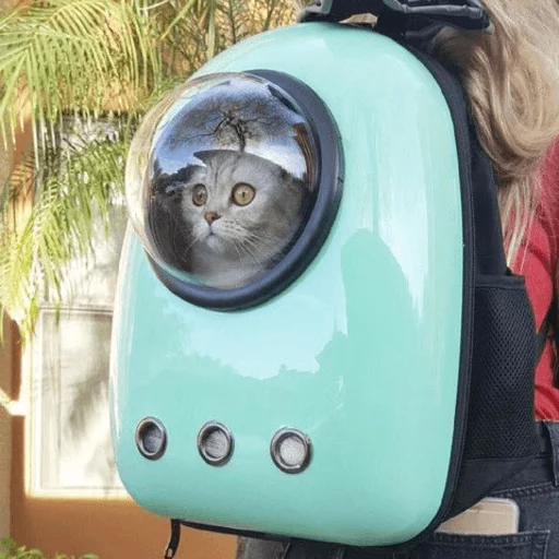 Эмодзи Broken Cats 2