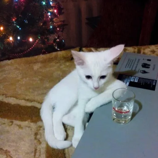 Эмодзи Broken Cats 2