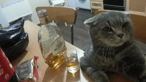 Эмодзи Broken Cats 2