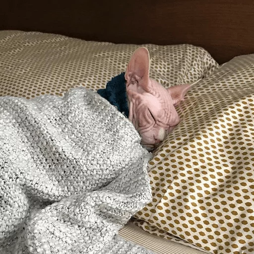 Эмодзи Broken Cats 2