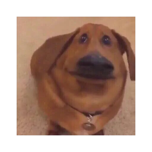 Эмодзи Кривые животные