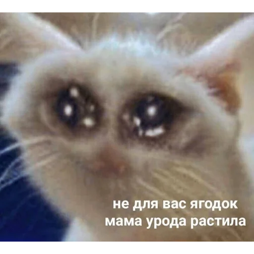 Эмодзи Кривые животные