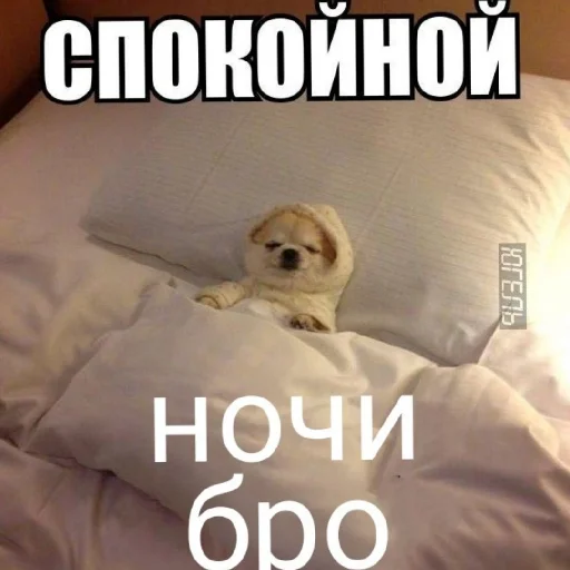 Эмодзи броо