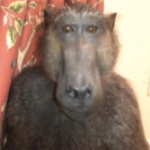 Эмодзи brunette