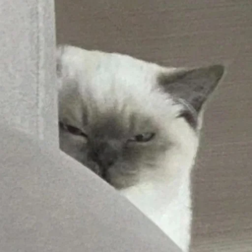 Эмодзи Брутальный стикерпак аристократ флоу