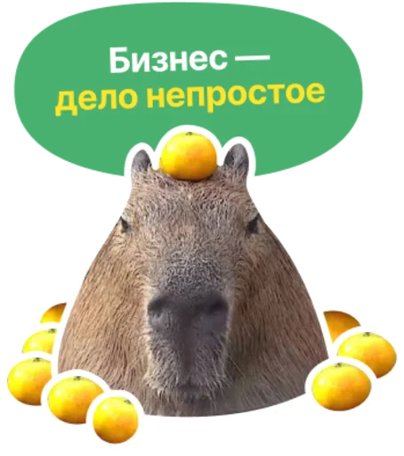 ?