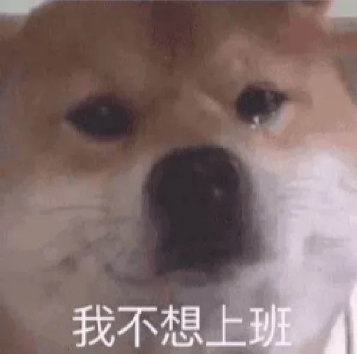 Эмодзи 😂爆笑😂乐园👉