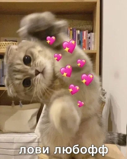 Эмодзи коты