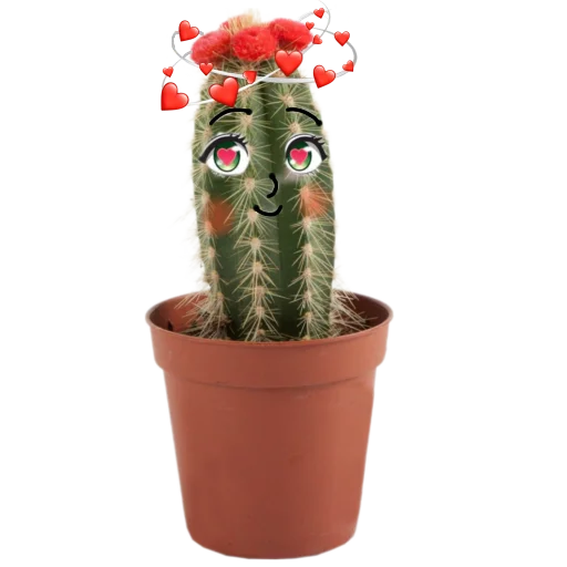 Эмодзи cactus