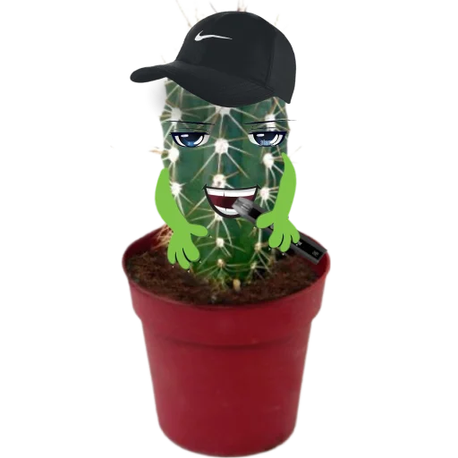 Эмодзи cactus