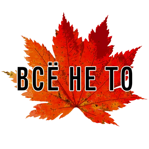 🙅‍♂️