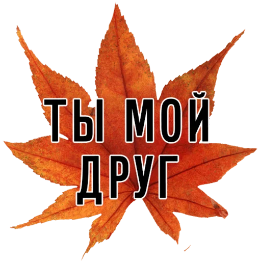 Эмодзи 3 сентября поют все