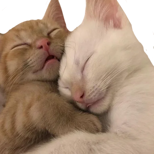 Эмодзи сладкая вата со вкусом табака🫀🍴