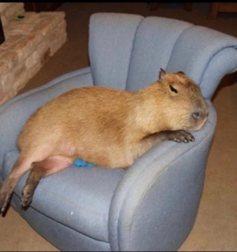 Эмодзи capybara