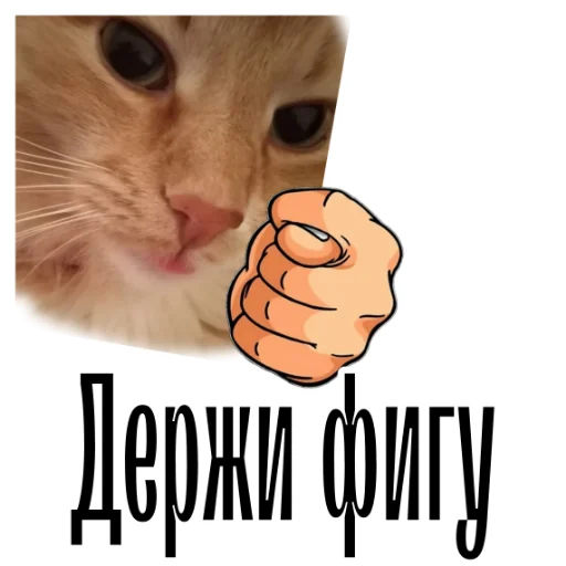 Эмодзи cat channel