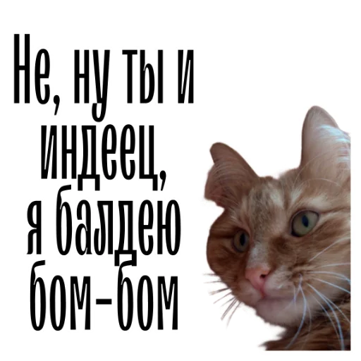 Эмодзи cat channel