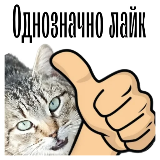 Эмодзи cat channel