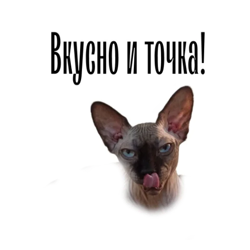 Эмодзи cat channel meow 2