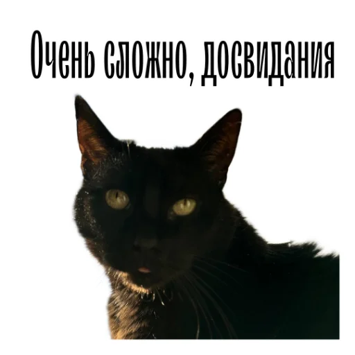 Эмодзи cat channel meow 2