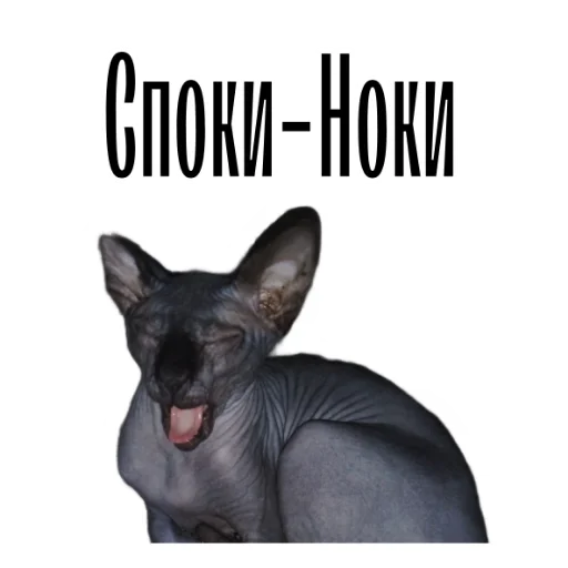 Эмодзи cat channel meow 2