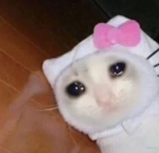 Эмодзи Pussys ➡️