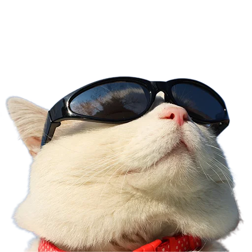 Эмодзи Котейки