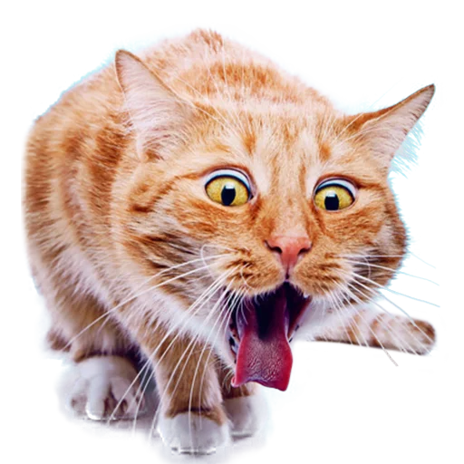 Эмодзи Котейки