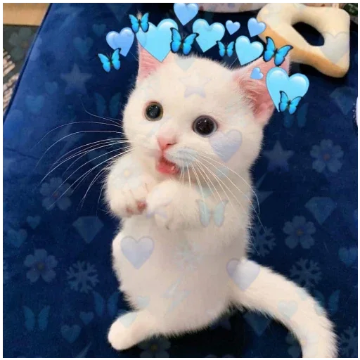 Эмодзи Котики
